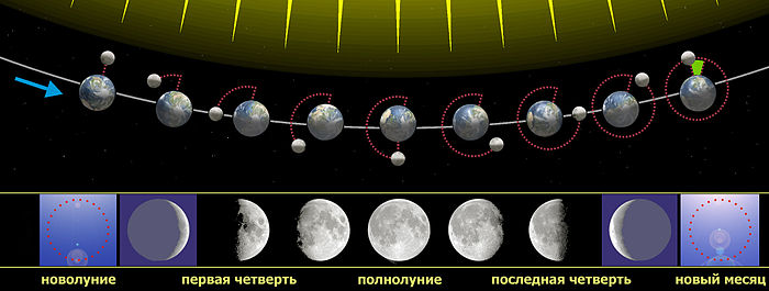 Фазы Луны